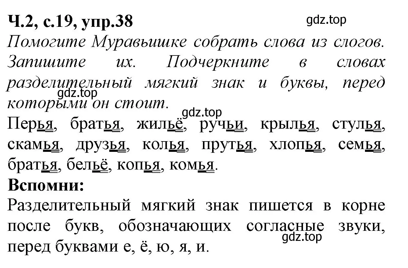 Решение номер 38 (страница 19) гдз по русскому языку 2 класс Канакина, рабочая тетрадь 2 часть