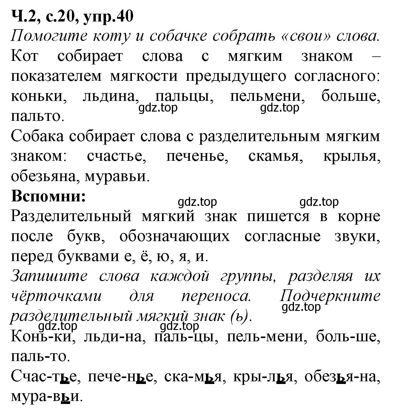 Решение номер 40 (страница 20) гдз по русскому языку 2 класс Канакина, рабочая тетрадь 2 часть