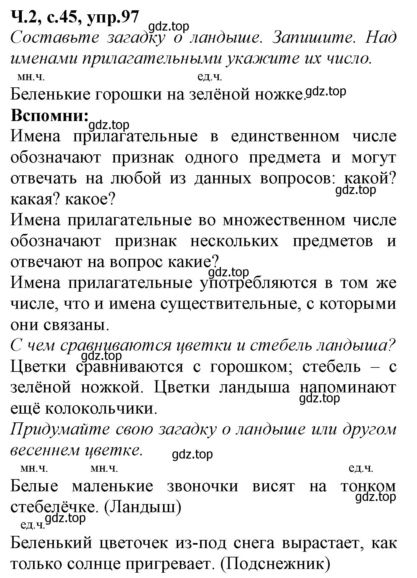 Решение номер 97 (страница 45) гдз по русскому языку 2 класс Канакина, рабочая тетрадь 2 часть