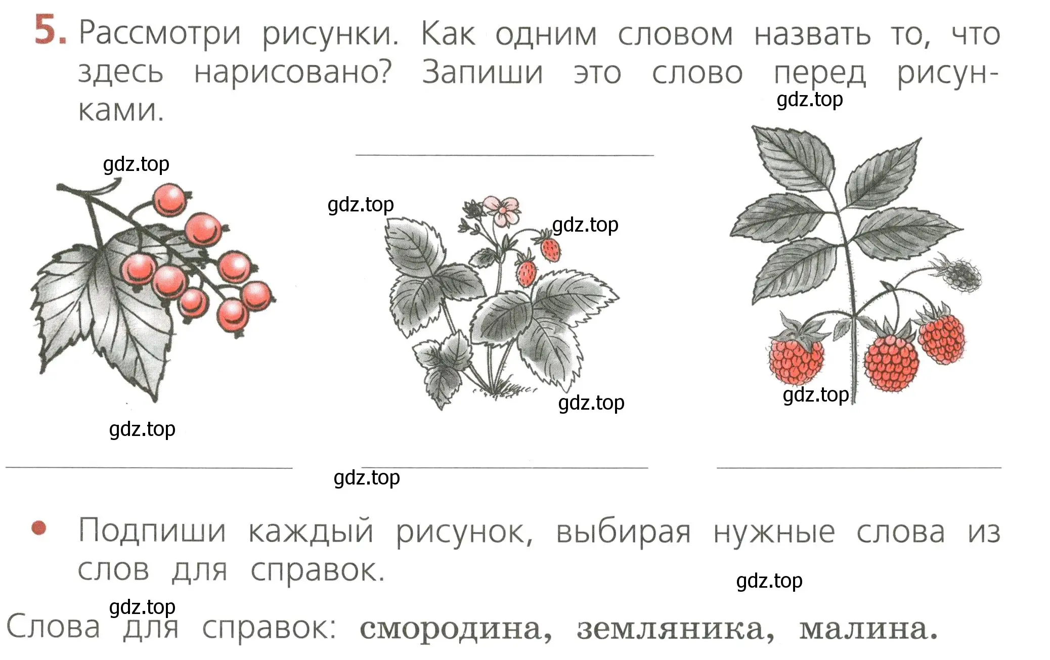 Условие номер 5 (страница 17) гдз по русскому языку 2 класс Канакина, тетрадь учебных достижений