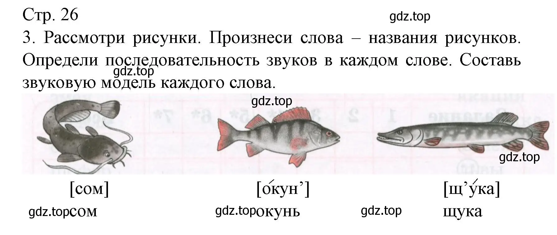 Решение номер 3 (страница 26) гдз по русскому языку 2 класс Канакина, тетрадь учебных достижений