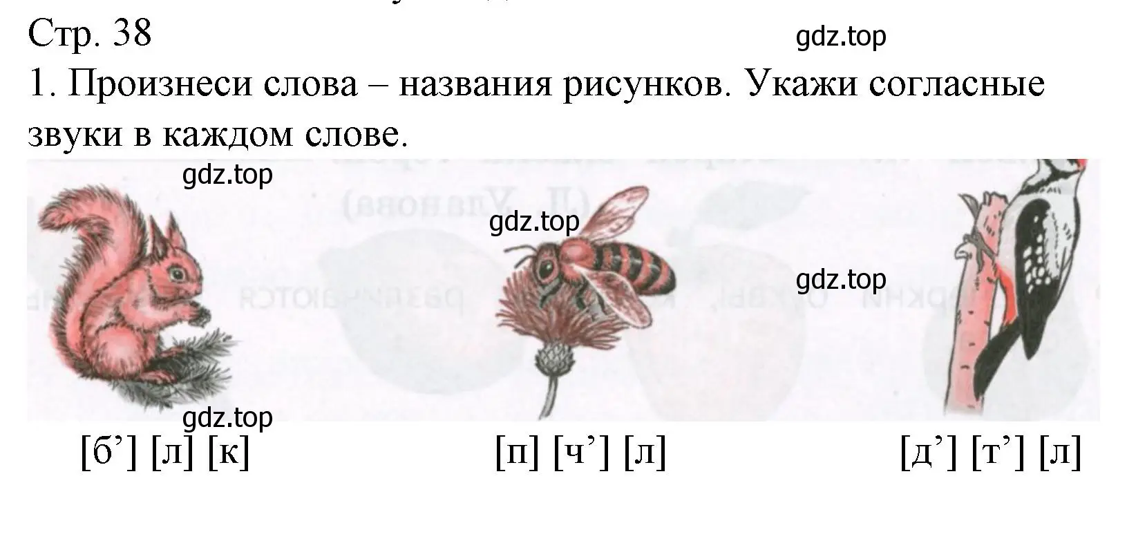 Решение номер 1 (страница 38) гдз по русскому языку 2 класс Канакина, тетрадь учебных достижений