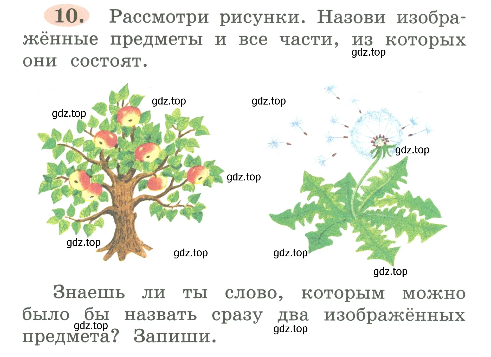 Условие номер 10 (страница 8) гдз по русскому языку 2 класс Климанова, Бабушкина, рабочая тетрадь 1 часть