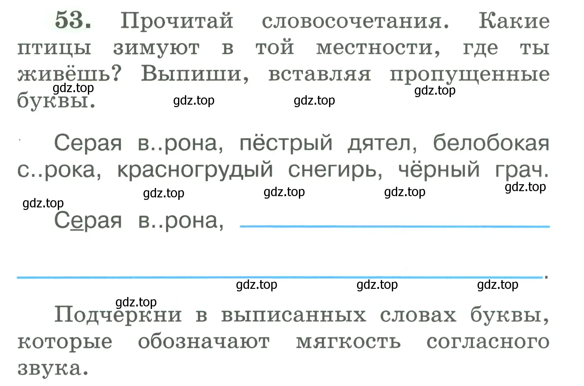 Условие номер 53 (страница 28) гдз по русскому языку 2 класс Климанова, Бабушкина, рабочая тетрадь 1 часть