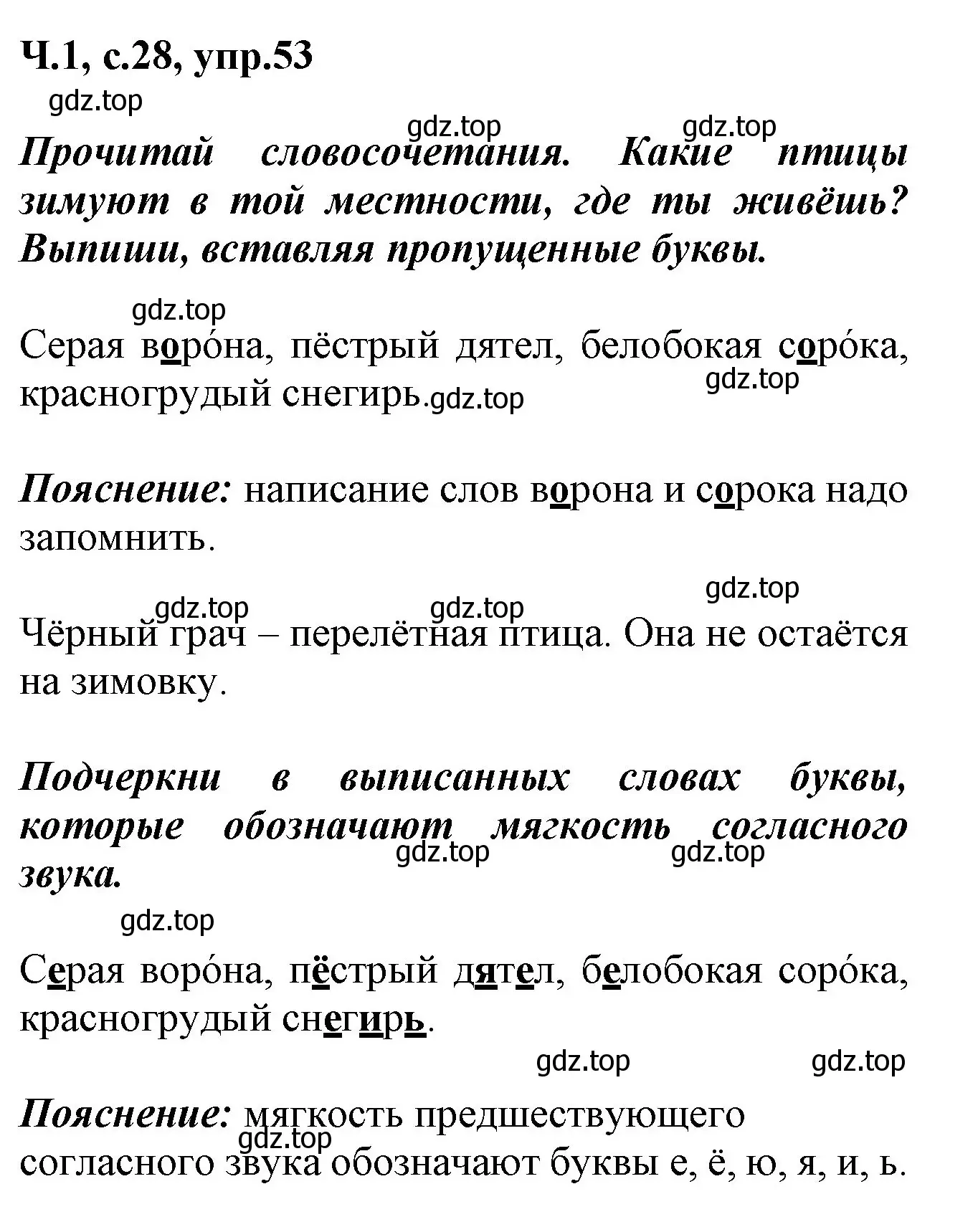 Решение номер 53 (страница 28) гдз по русскому языку 2 класс Климанова, Бабушкина, рабочая тетрадь 1 часть