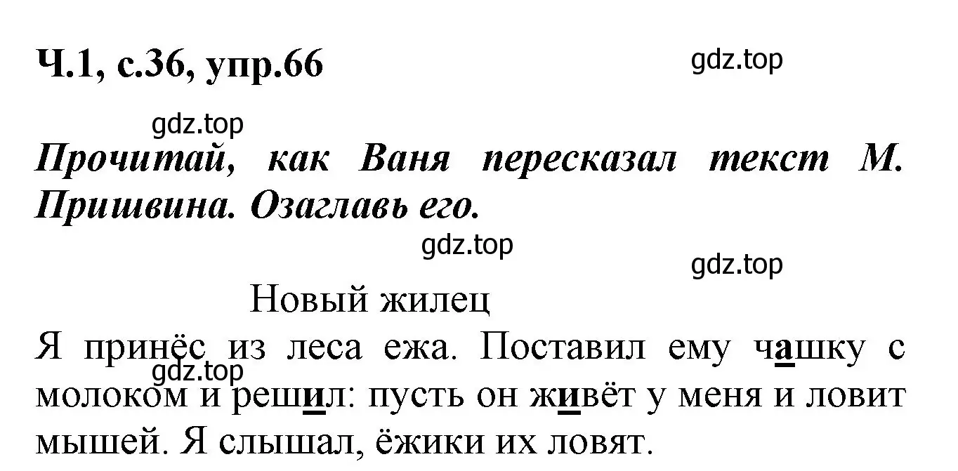 Решение номер 66 (страница 36) гдз по русскому языку 2 класс Климанова, Бабушкина, рабочая тетрадь 1 часть