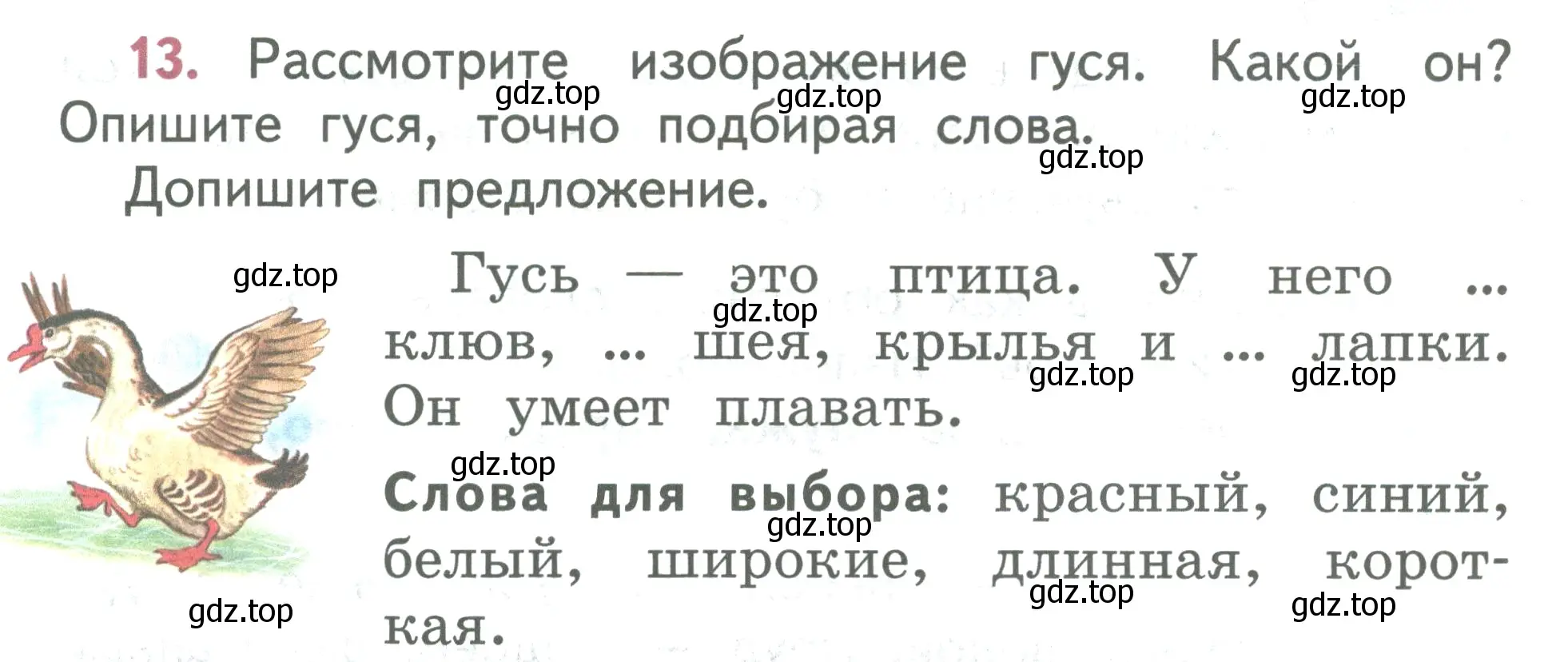 Условие номер 13 (страница 10) гдз по русскому языку 2 класс Климанова, Бабушкина, учебник 2 часть