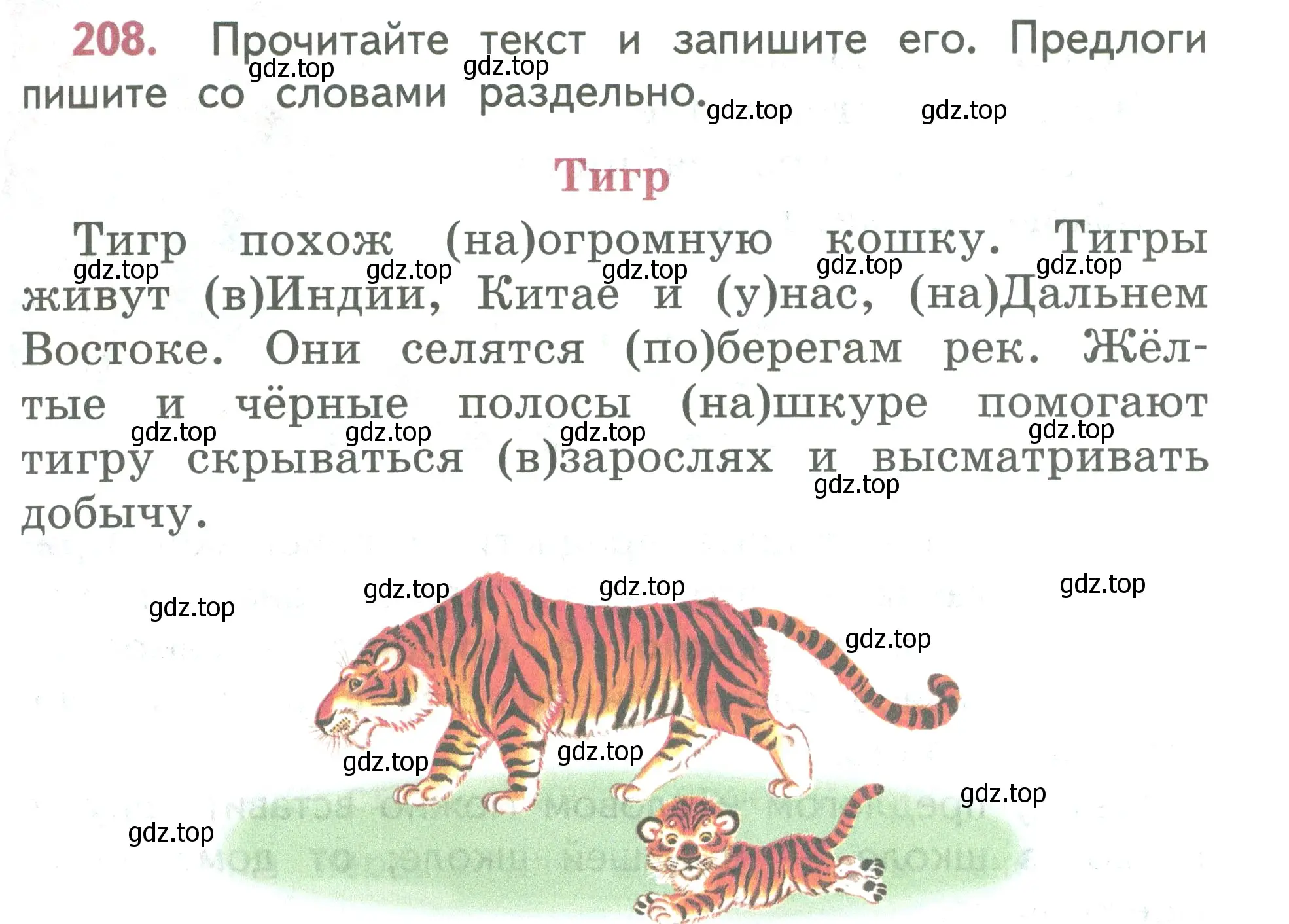 Условие номер 208 (страница 117) гдз по русскому языку 2 класс Климанова, Бабушкина, учебник 2 часть