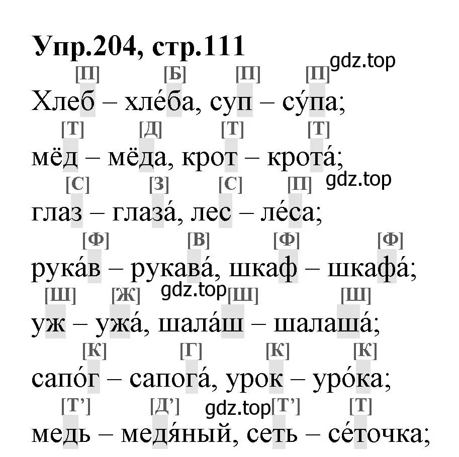 Решение номер 204 (страница 111) гдз по русскому языку 2 класс Климанова, Бабушкина, учебник 1 часть