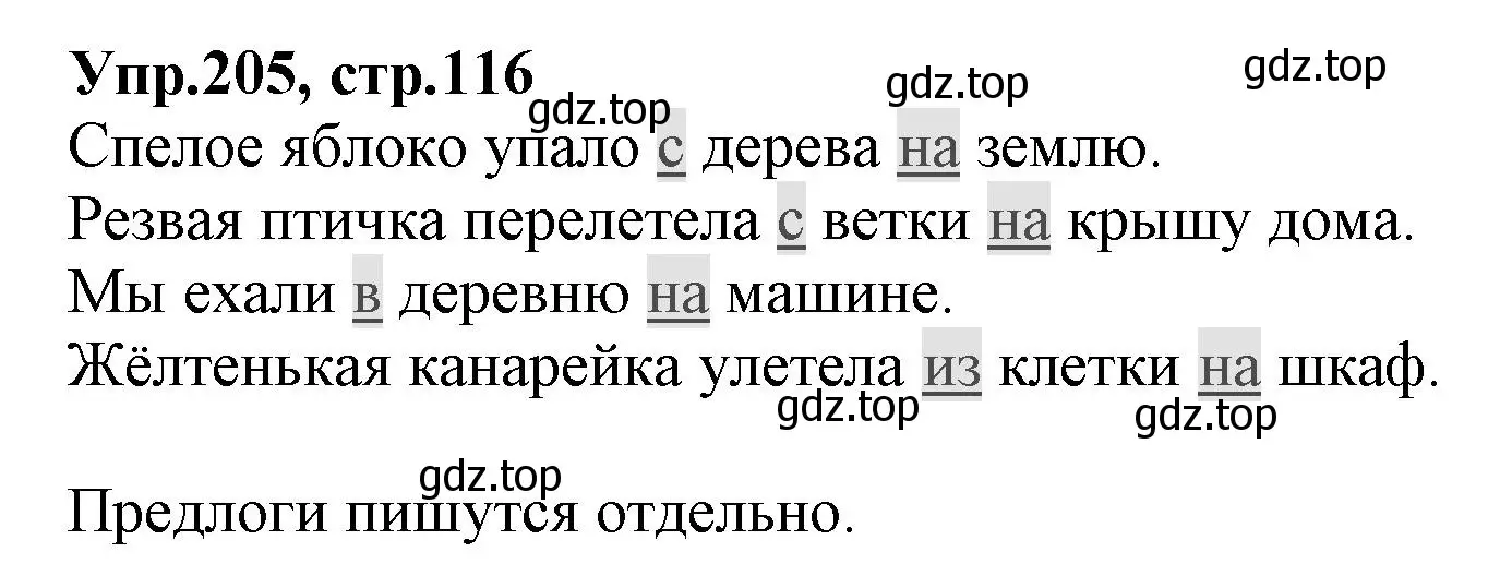 Решение номер 205 (страница 116) гдз по русскому языку 2 класс Климанова, Бабушкина, учебник 2 часть