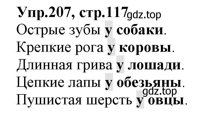 Решение номер 207 (страница 117) гдз по русскому языку 2 класс Климанова, Бабушкина, учебник 2 часть