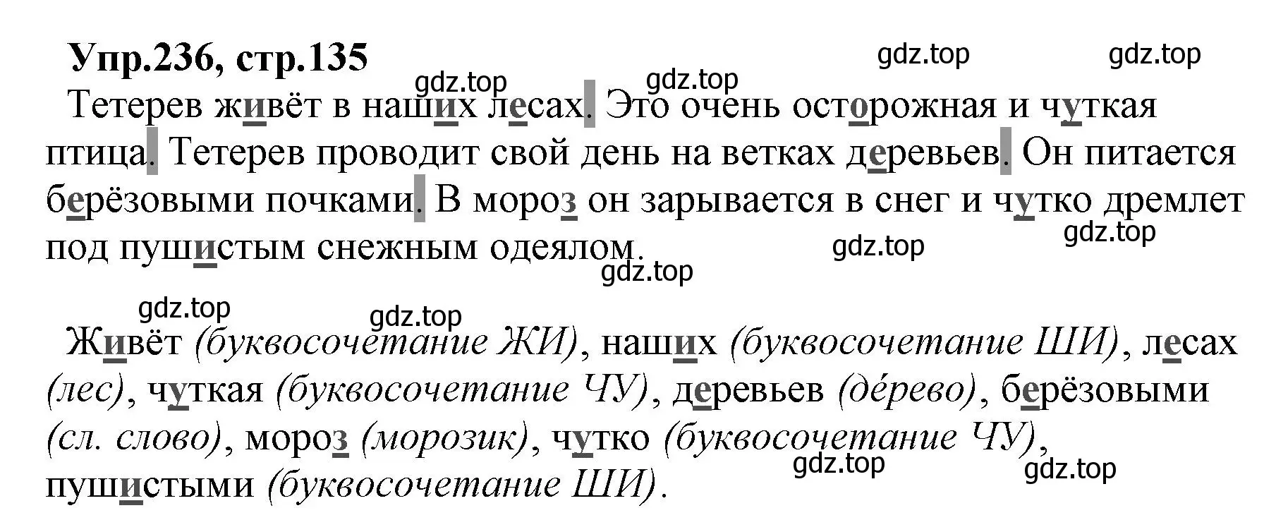 Решение номер 236 (страница 135) гдз по русскому языку 2 класс Климанова, Бабушкина, учебник 2 часть