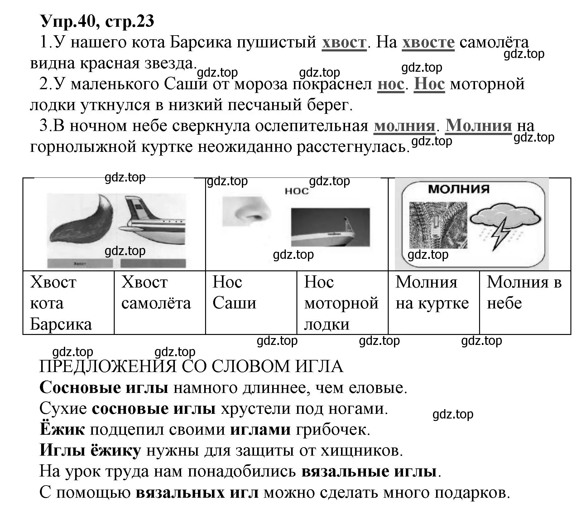 Решение номер 40 (страница 23) гдз по русскому языку 2 класс Климанова, Бабушкина, учебник 2 часть