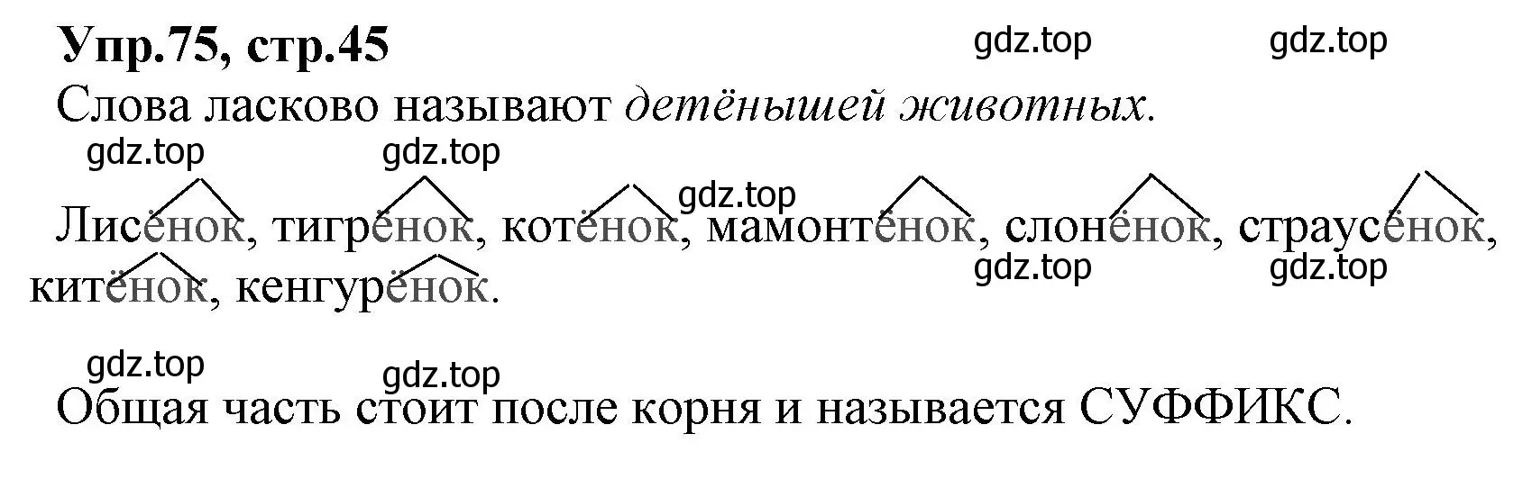 Решение номер 75 (страница 45) гдз по русскому языку 2 класс Климанова, Бабушкина, учебник 2 часть