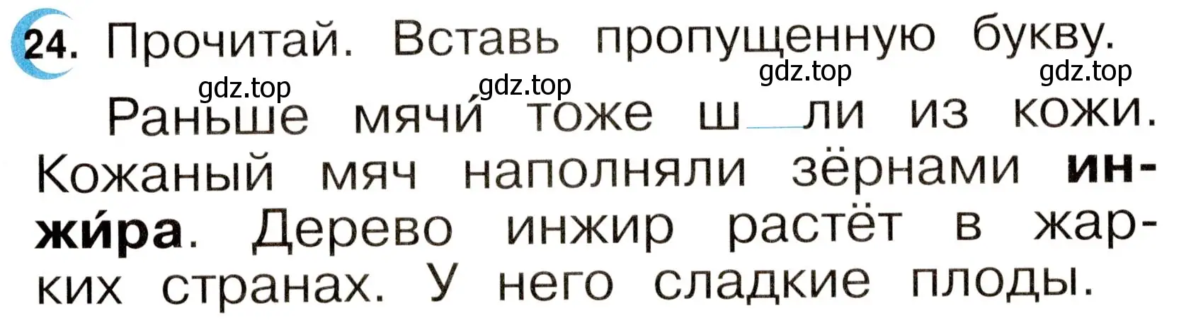 Условие номер 24 (страница 13) гдз по русскому языку 2 класс Рамзаева, Савинкина, рабочая тетрадь