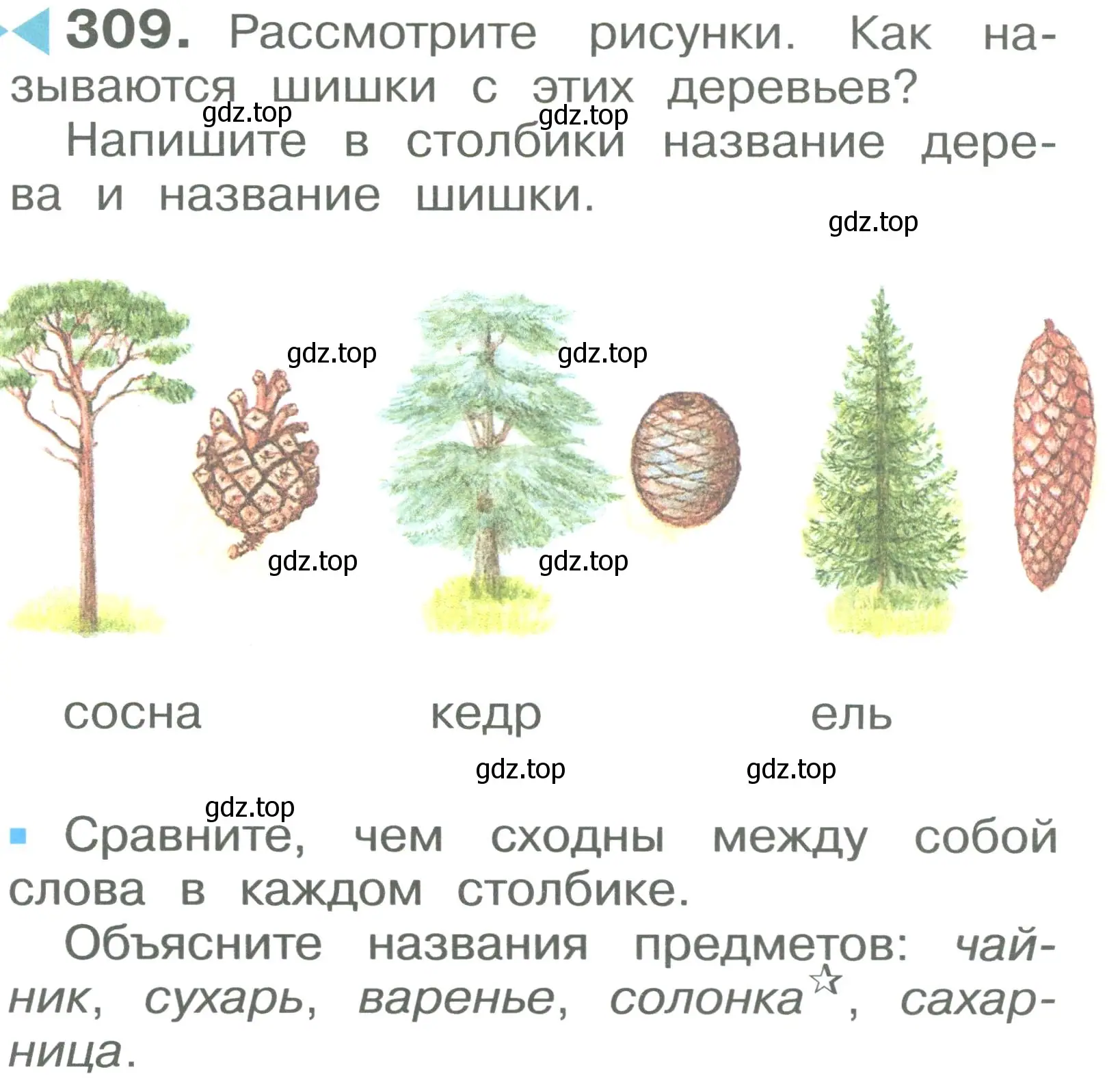 Условие номер 309 (страница 49) гдз по русскому языку 2 класс Рамзаева, Савельева, учебник 2 часть