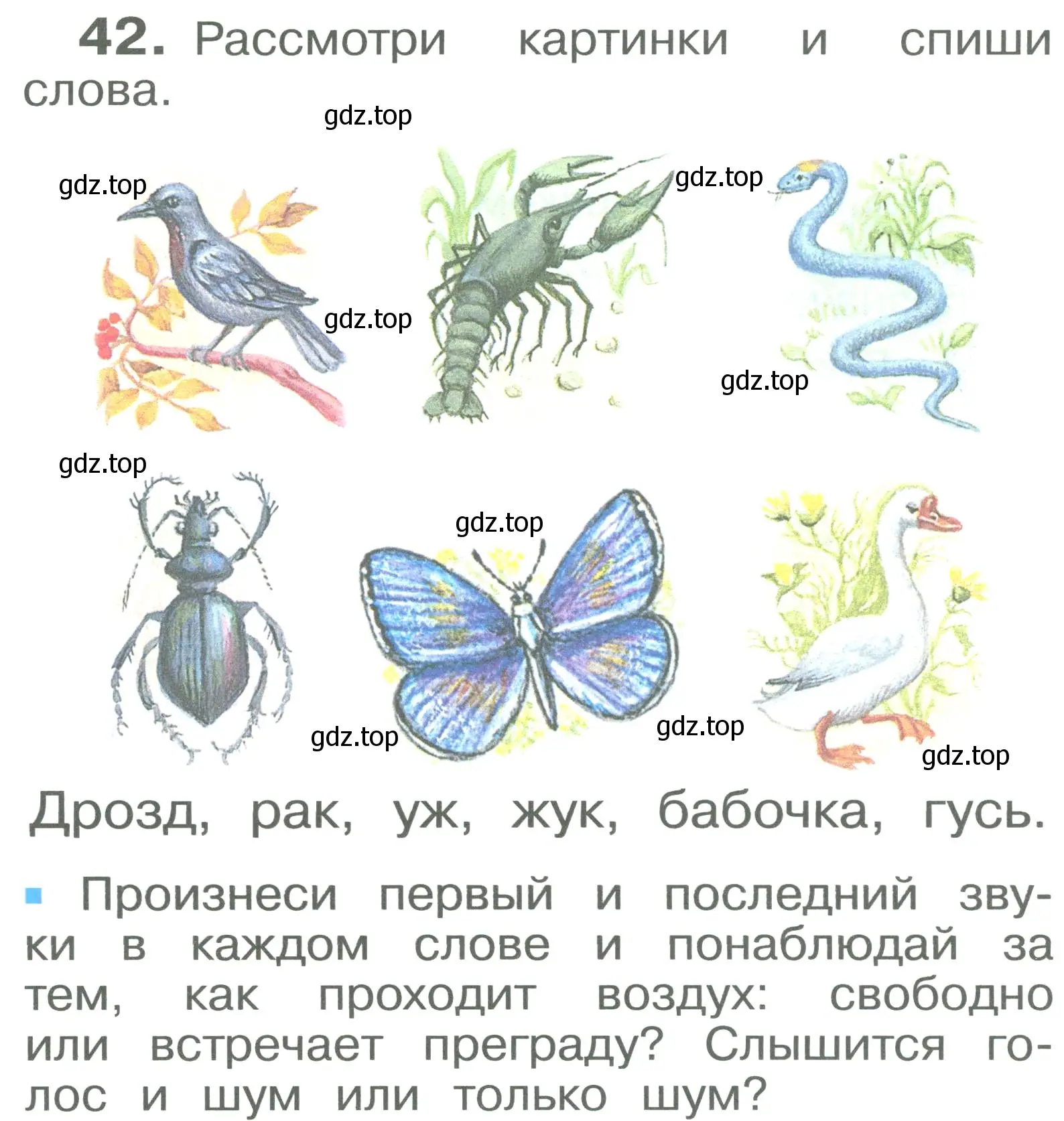 Условие номер 42 (страница 28) гдз по русскому языку 2 класс Рамзаева, Савельева, учебник 1 часть