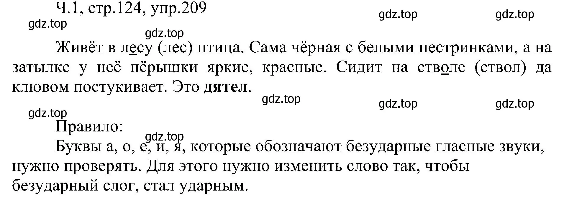 Решение номер 209 (страница 125) гдз по русскому языку 2 класс Рамзаева, Савельева, учебник 1 часть