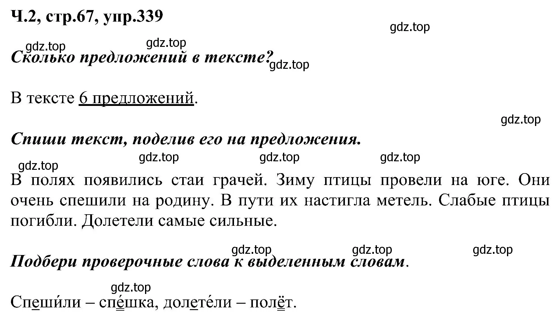 Решение номер 339 (страница 67) гдз по русскому языку 2 класс Рамзаева, Савельева, учебник 2 часть