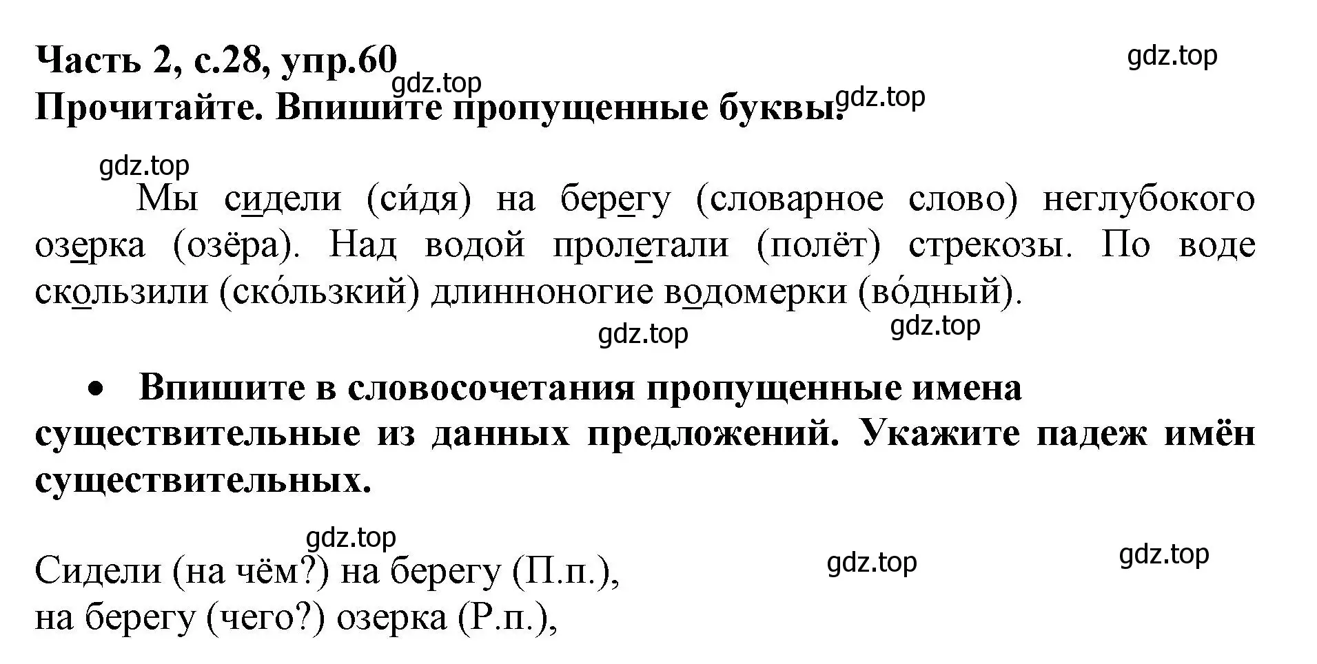 Решение номер 60 (страница 28) гдз по русскому языку 3 класс Канакина, рабочая тетрадь 2 часть