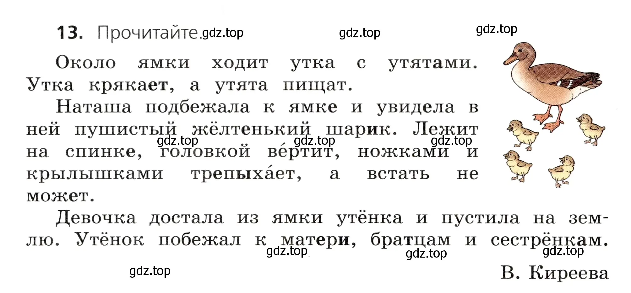 Условие номер 13 (страница 12) гдз по русскому языку 3 класс Канакина, Горецкий, учебник 1 часть