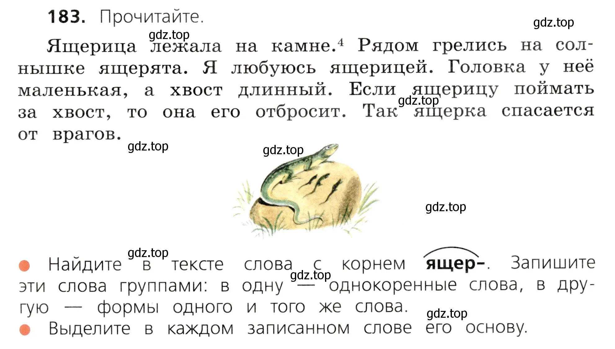 Условие номер 183 (страница 95) гдз по русскому языку 3 класс Канакина, Горецкий, учебник 1 часть