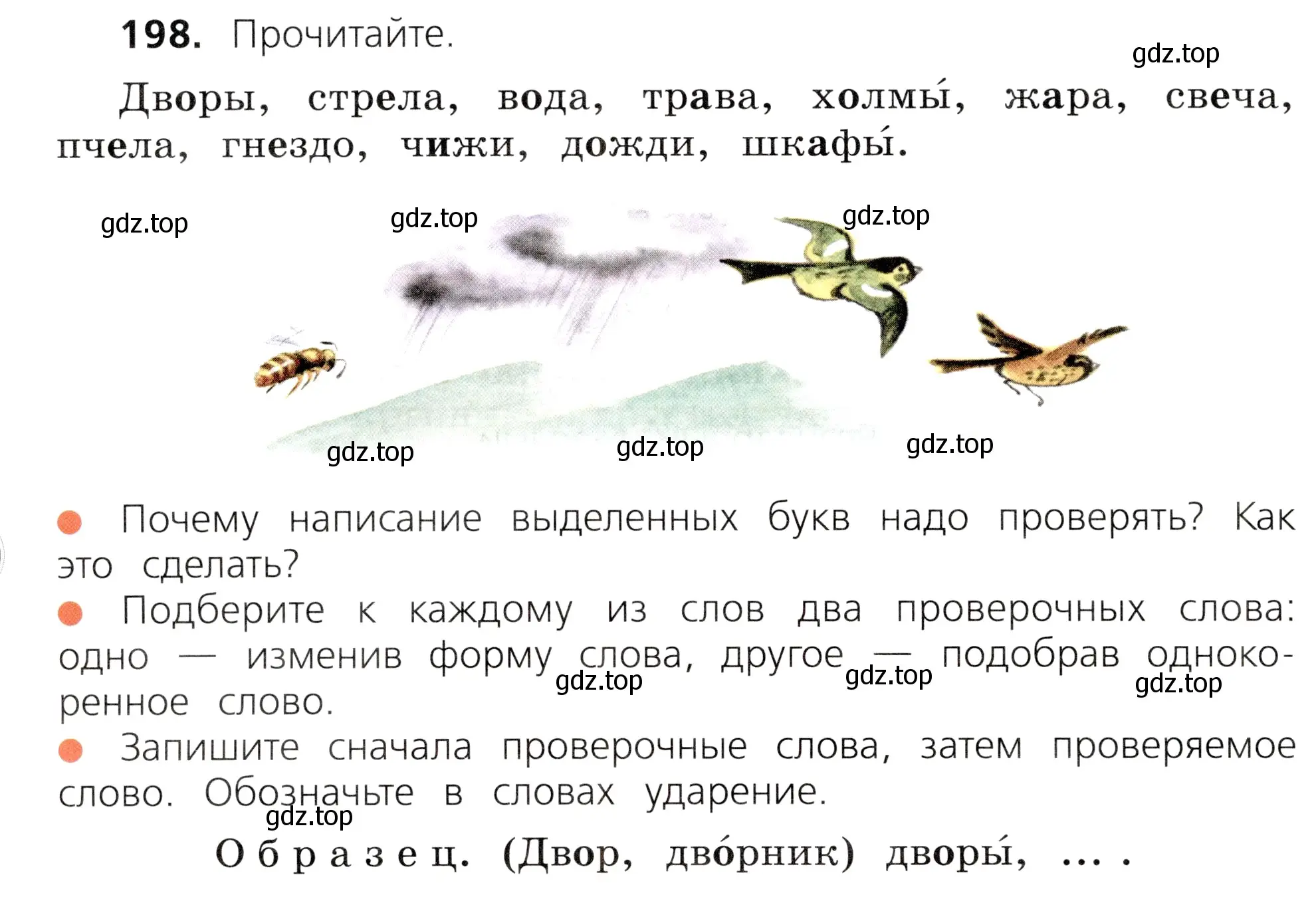 Условие номер 198 (страница 104) гдз по русскому языку 3 класс Канакина, Горецкий, учебник 1 часть