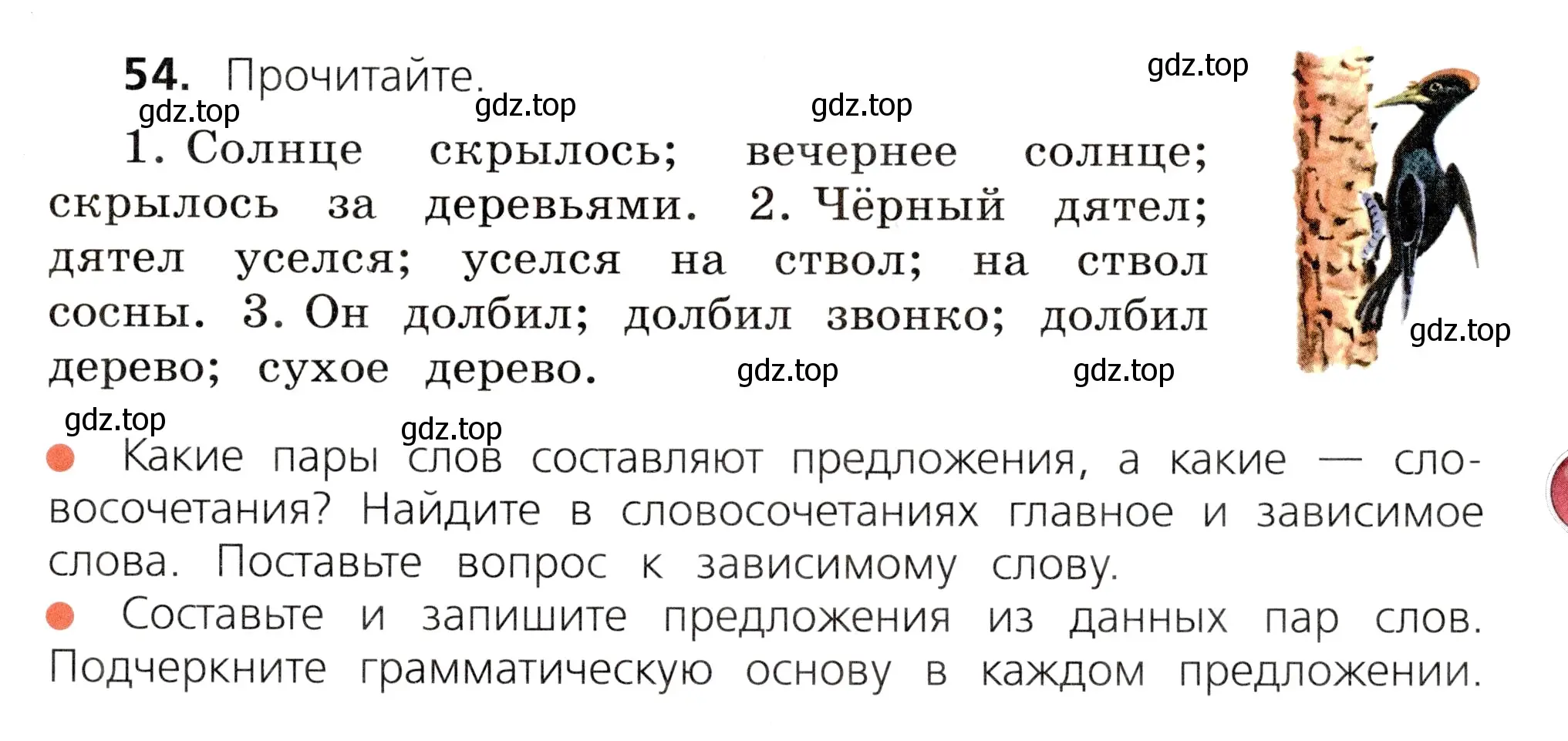 Условие номер 54 (страница 33) гдз по русскому языку 3 класс Канакина, Горецкий, учебник 1 часть