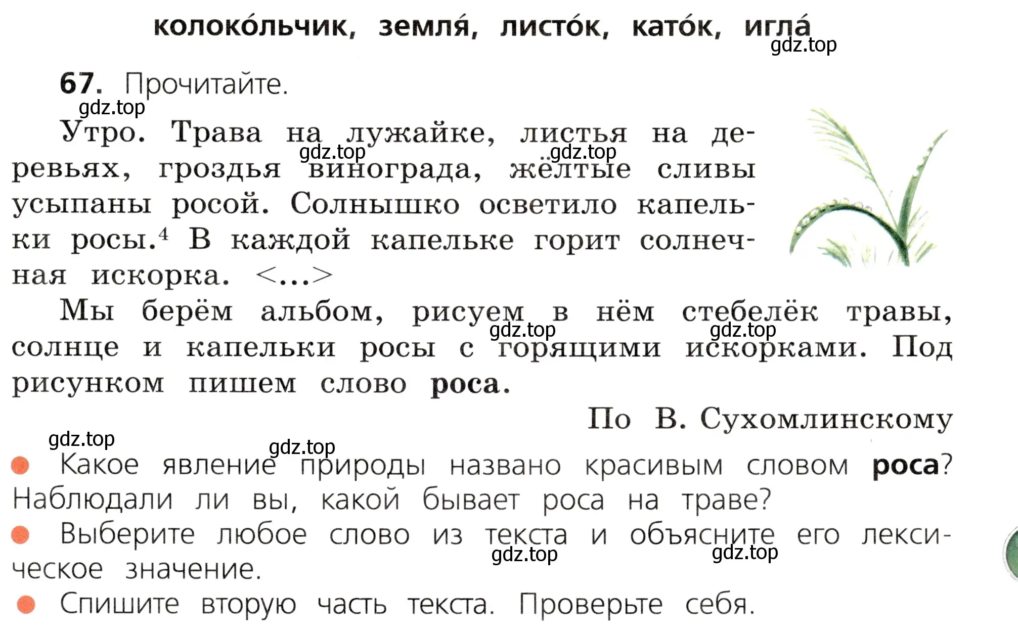 Условие номер 67 (страница 41) гдз по русскому языку 3 класс Канакина, Горецкий, учебник 1 часть