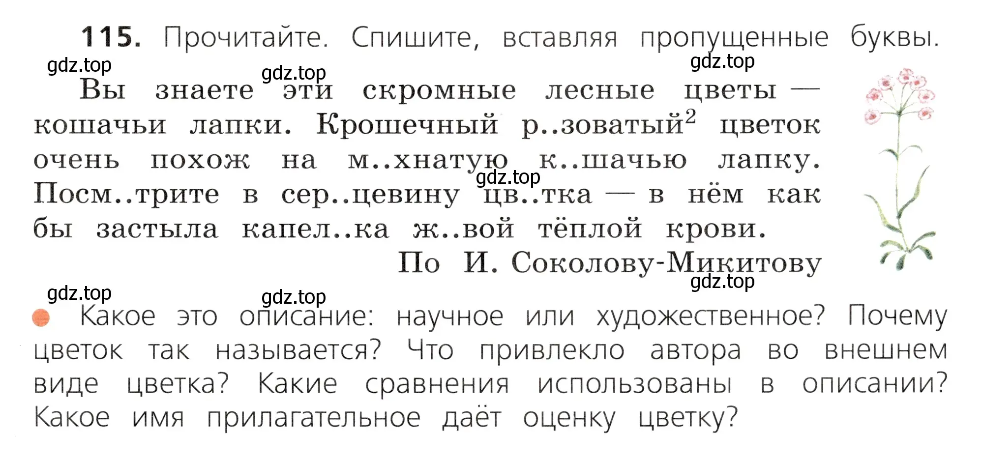 Условие номер 115 (страница 67) гдз по русскому языку 3 класс Канакина, Горецкий, учебник 2 часть