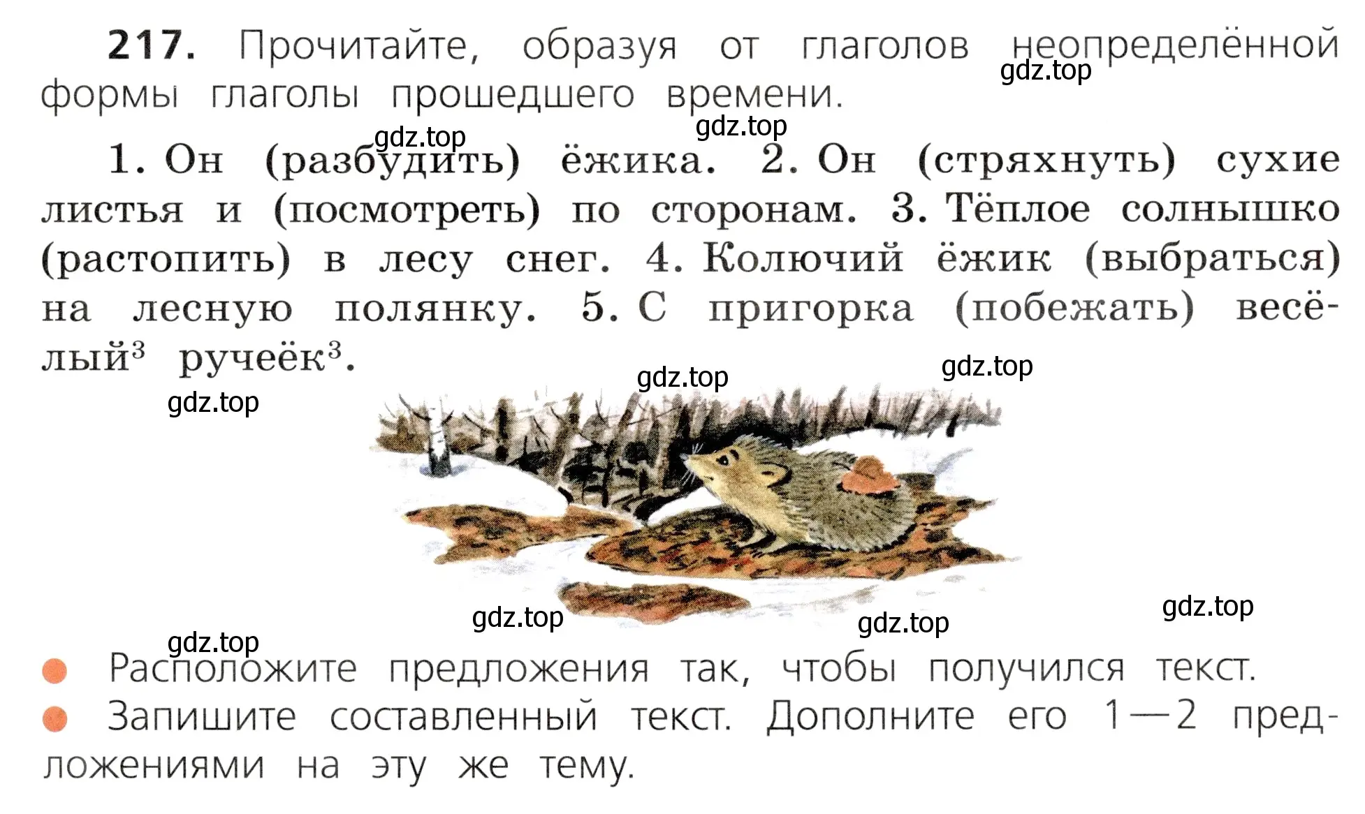 Условие номер 217 (страница 121) гдз по русскому языку 3 класс Канакина, Горецкий, учебник 2 часть