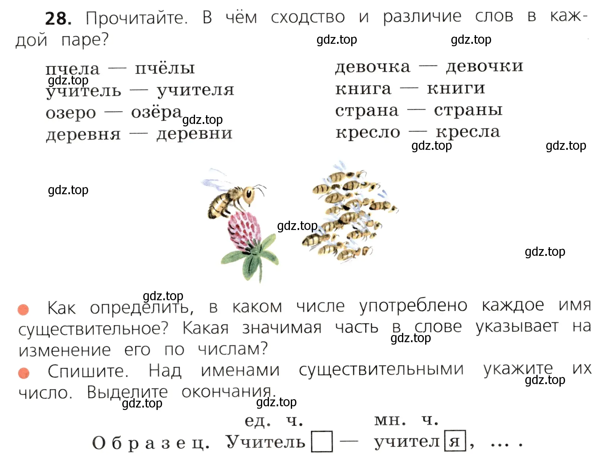 Условие номер 28 (страница 20) гдз по русскому языку 3 класс Канакина, Горецкий, учебник 2 часть