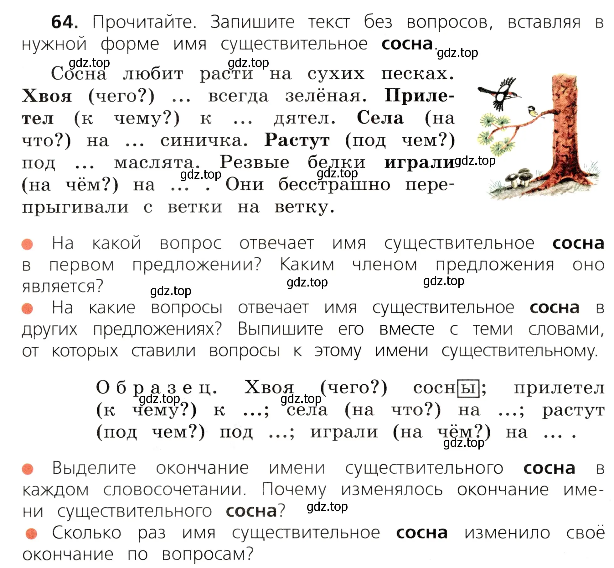 Условие номер 64 (страница 36) гдз по русскому языку 3 класс Канакина, Горецкий, учебник 2 часть