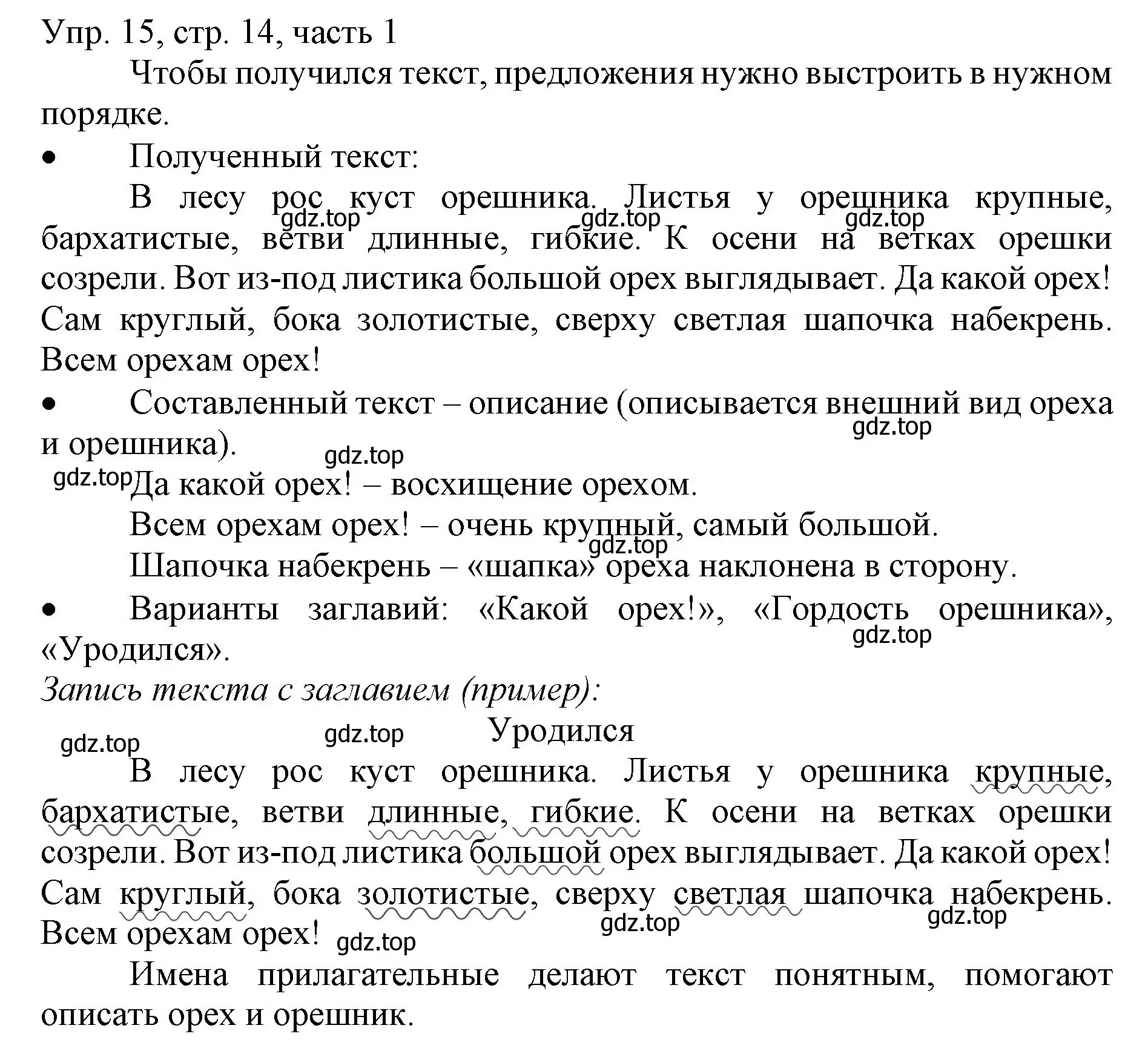 Решение номер 15 (страница 14) гдз по русскому языку 3 класс Канакина, Горецкий, учебник 1 часть