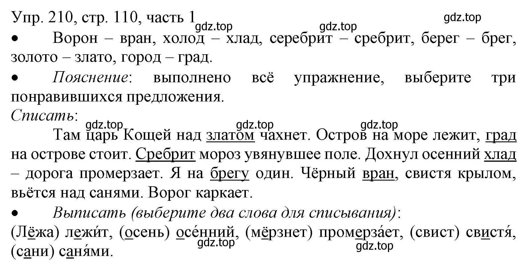 Решение номер 210 (страница 110) гдз по русскому языку 3 класс Канакина, Горецкий, учебник 1 часть