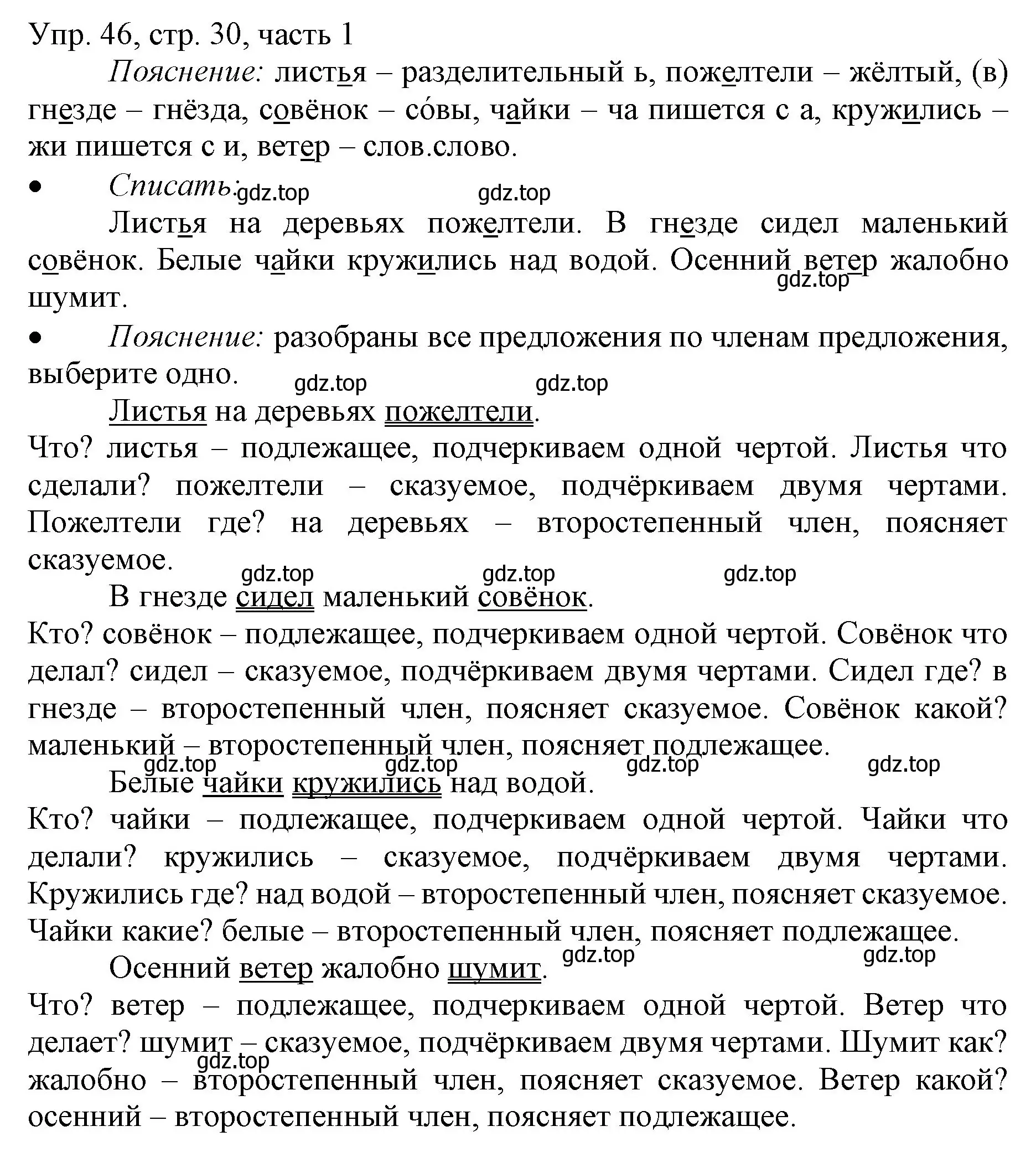 Решение номер 46 (страница 30) гдз по русскому языку 3 класс Канакина, Горецкий, учебник 1 часть