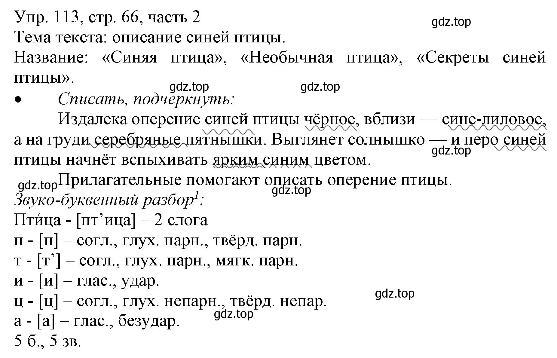 Решение номер 113 (страница 66) гдз по русскому языку 3 класс Канакина, Горецкий, учебник 2 часть