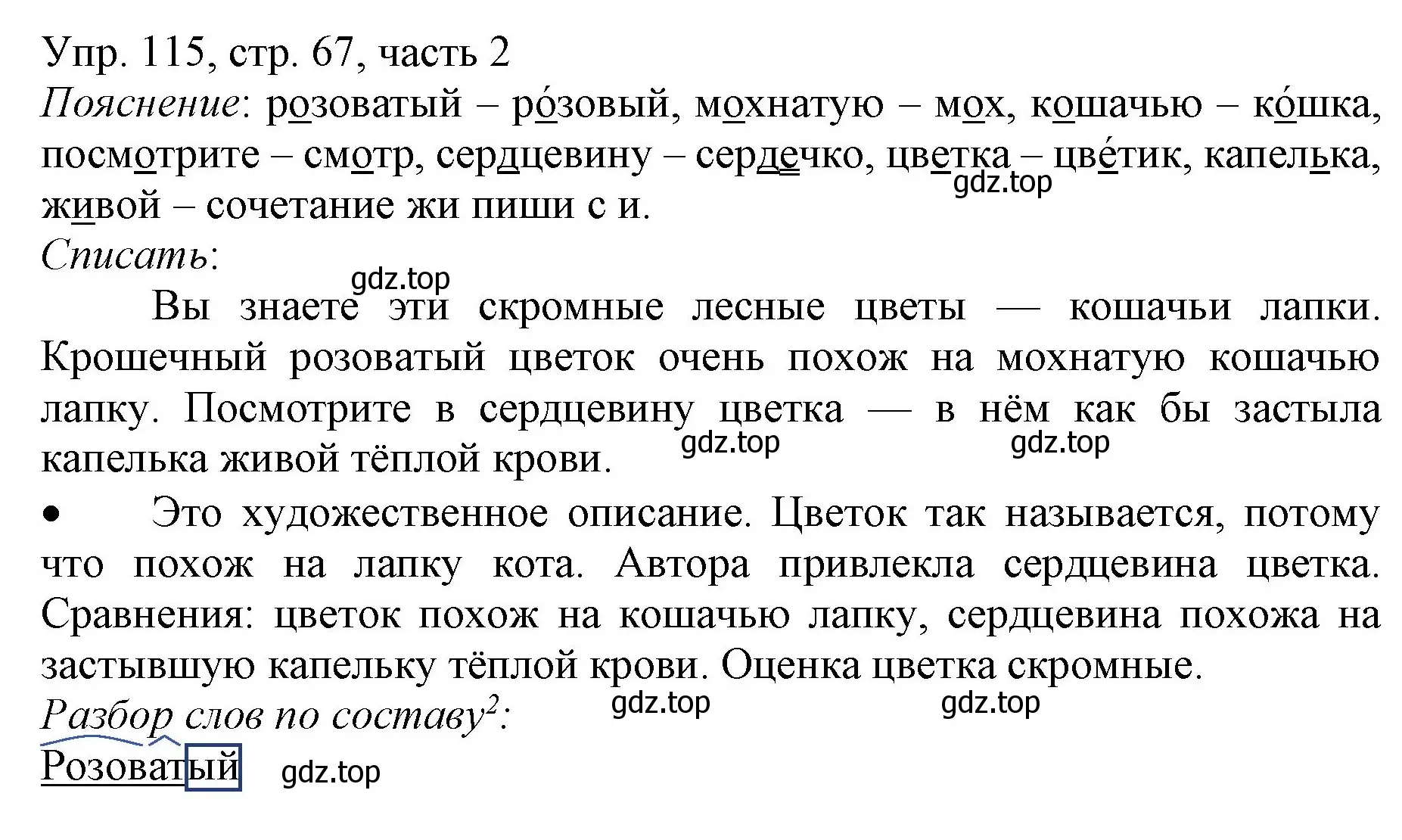 Решение номер 115 (страница 67) гдз по русскому языку 3 класс Канакина, Горецкий, учебник 2 часть