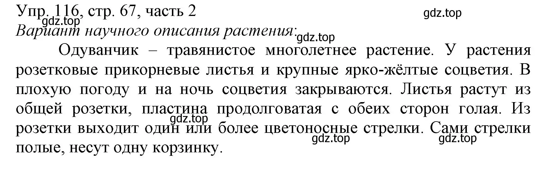 Решение номер 116 (страница 67) гдз по русскому языку 3 класс Канакина, Горецкий, учебник 2 часть