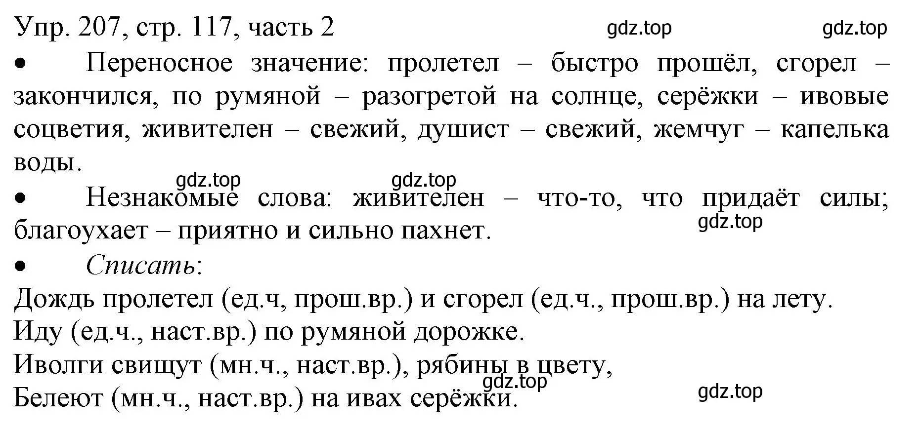 Решение номер 207 (страница 117) гдз по русскому языку 3 класс Канакина, Горецкий, учебник 2 часть