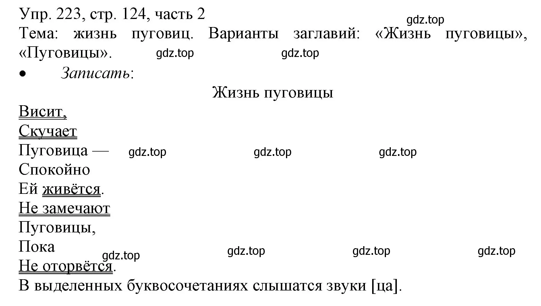 Решение номер 223 (страница 124) гдз по русскому языку 3 класс Канакина, Горецкий, учебник 2 часть