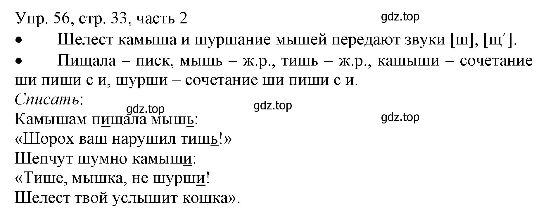 Решение номер 56 (страница 33) гдз по русскому языку 3 класс Канакина, Горецкий, учебник 2 часть