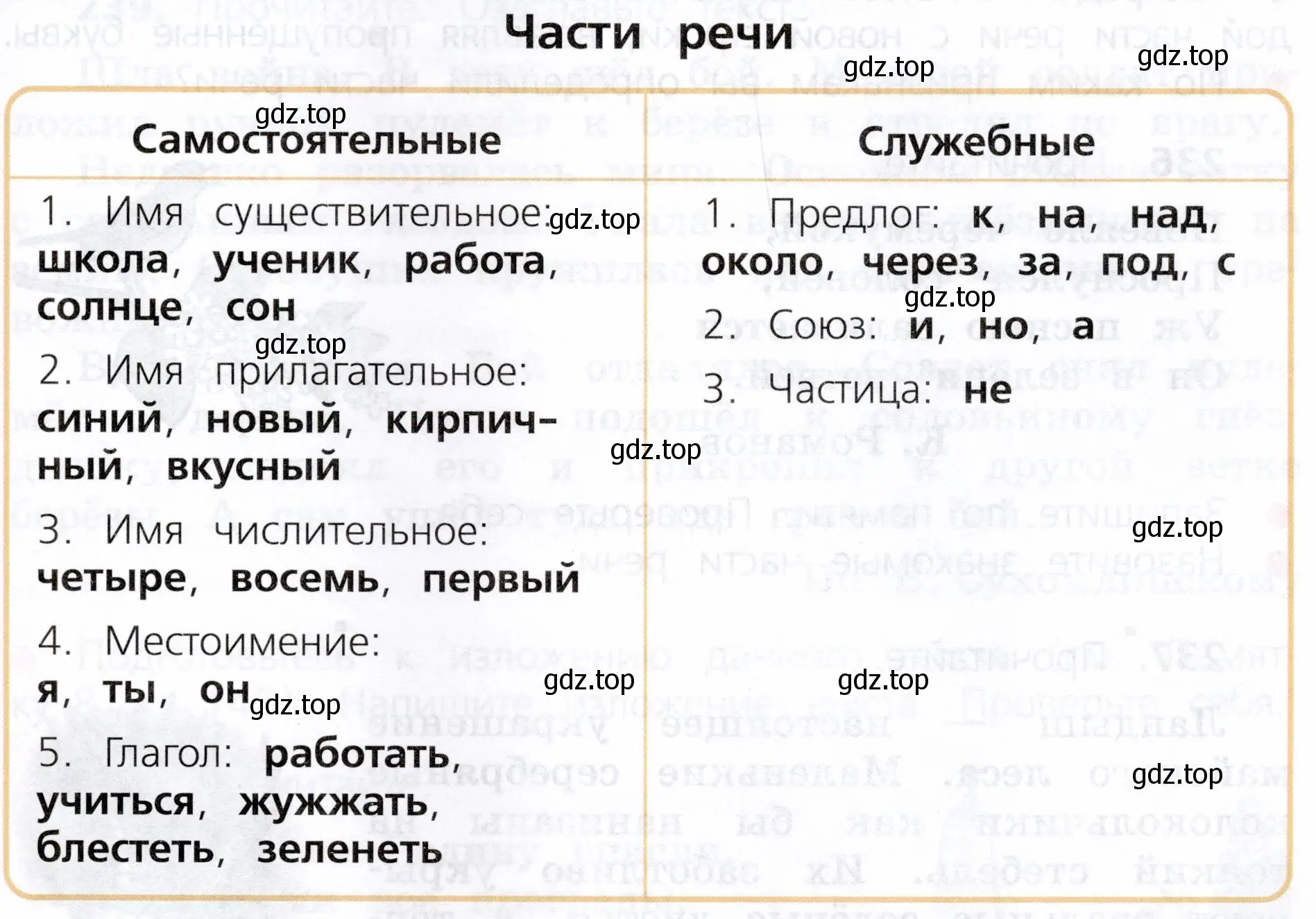 Для чего служат самостоятельные части речи? А служебные? Привести свои примеры слов разных частей речи