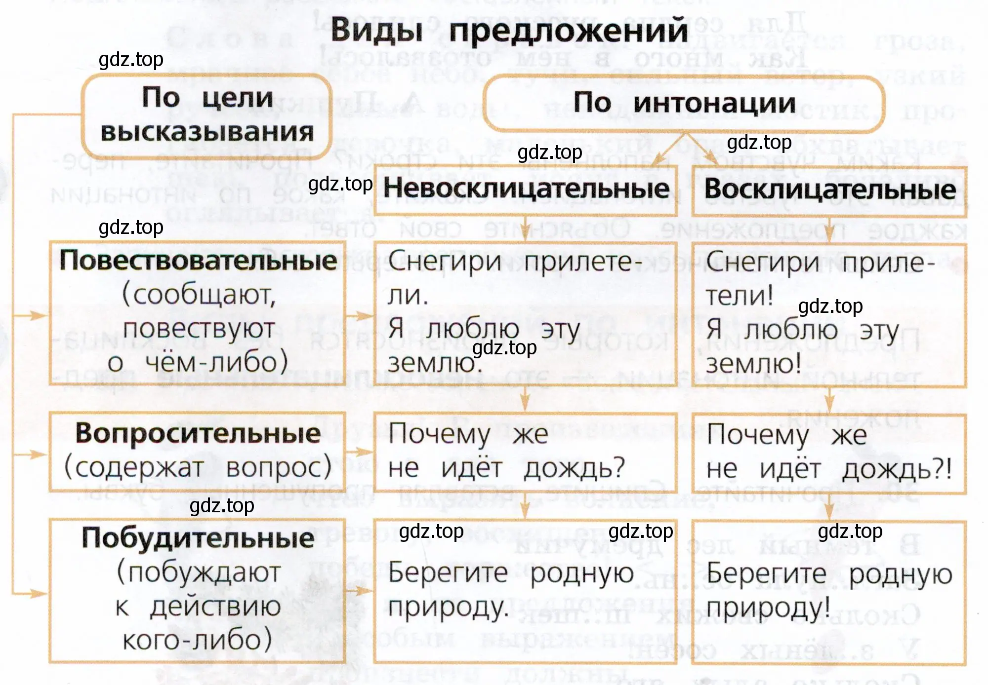 Схема «Виды предложений»