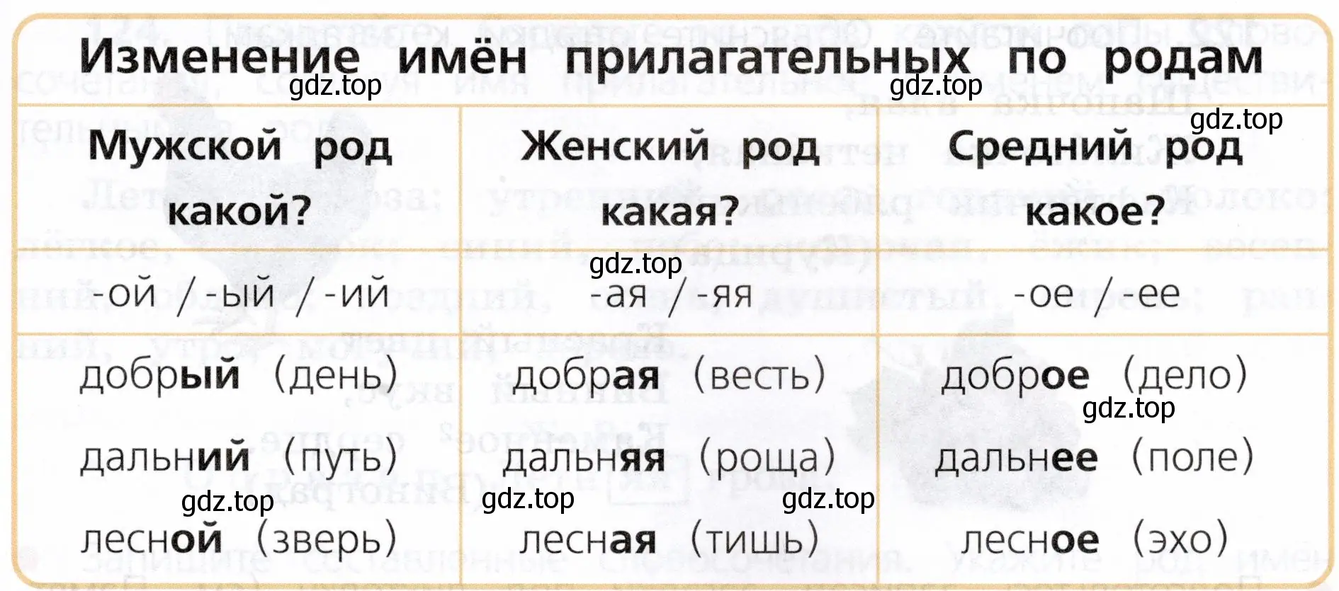 Какого рода бывают имена прилагательные. По каким признакам можно определить их род?