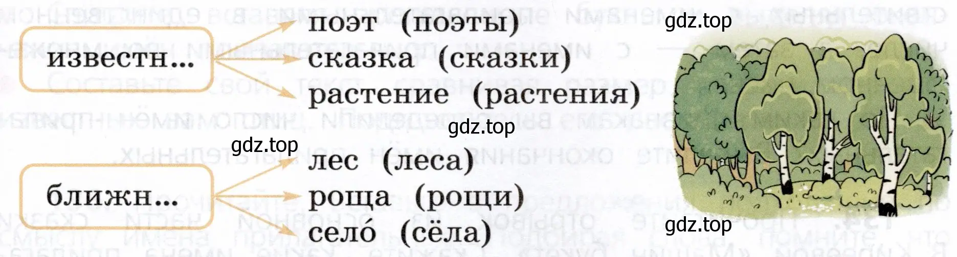 Объяснить, одинаковыми или различными будут окончания имён прилагательных в словосочетаниях с данными именами существительными в единственном и во множественном числе