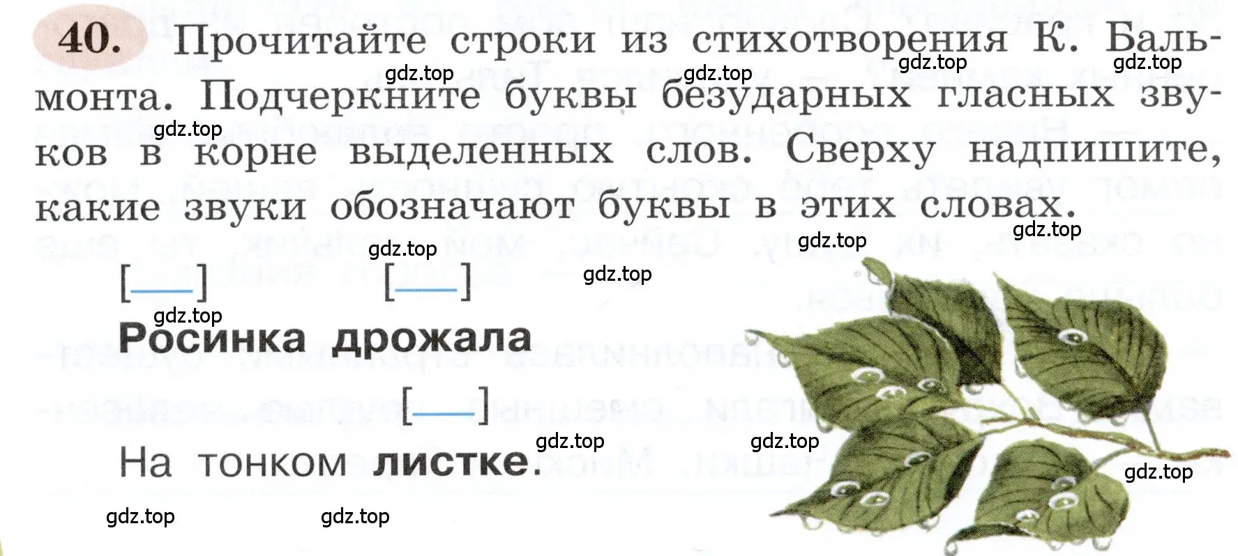 Условие номер 40 (страница 28) гдз по русскому языку 3 класс Климанова, Бабушкина, рабочая тетрадь 1 часть