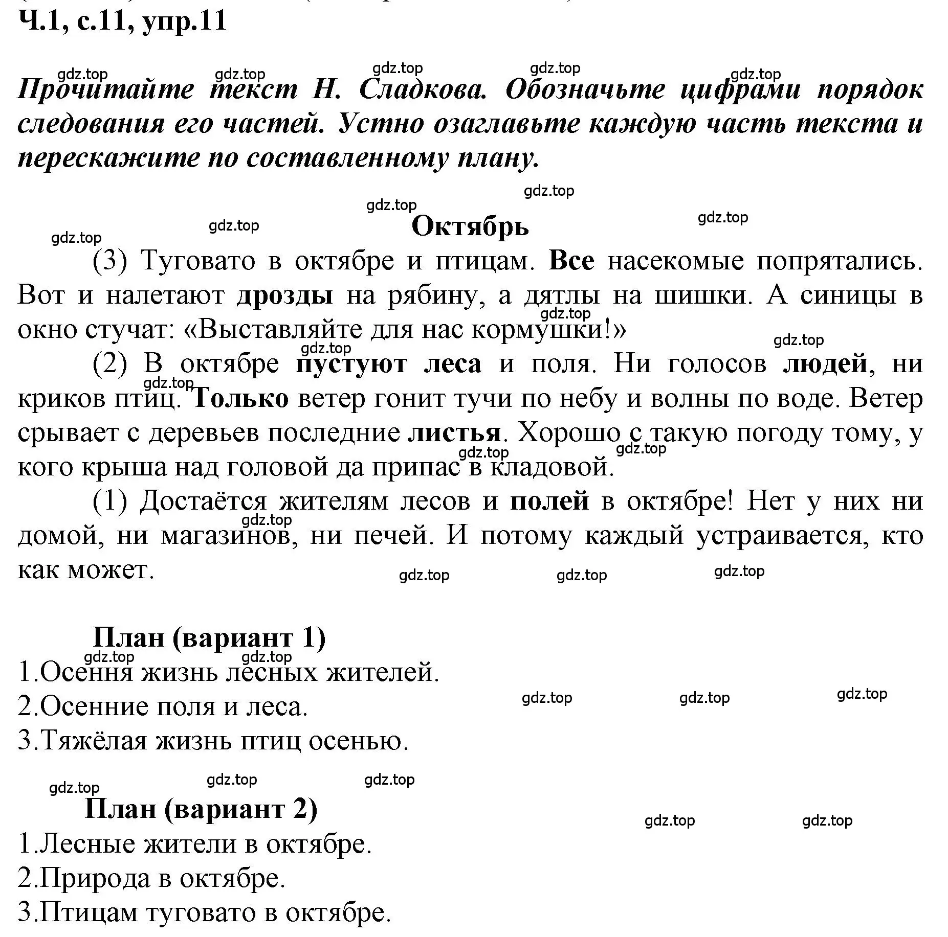 Решение номер 11 (страница 11) гдз по русскому языку 3 класс Климанова, Бабушкина, рабочая тетрадь 1 часть