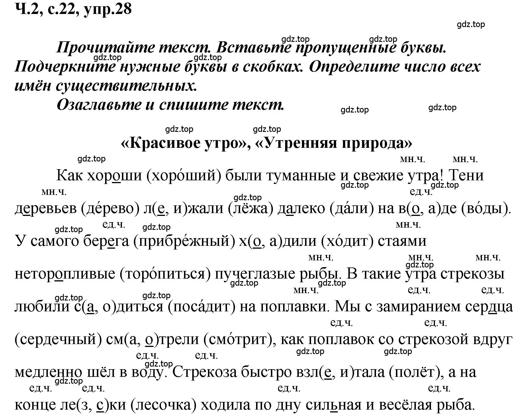 Решение номер 28 (страница 22) гдз по русскому языку 3 класс Климанова, Бабушкина, рабочая тетрадь 2 часть