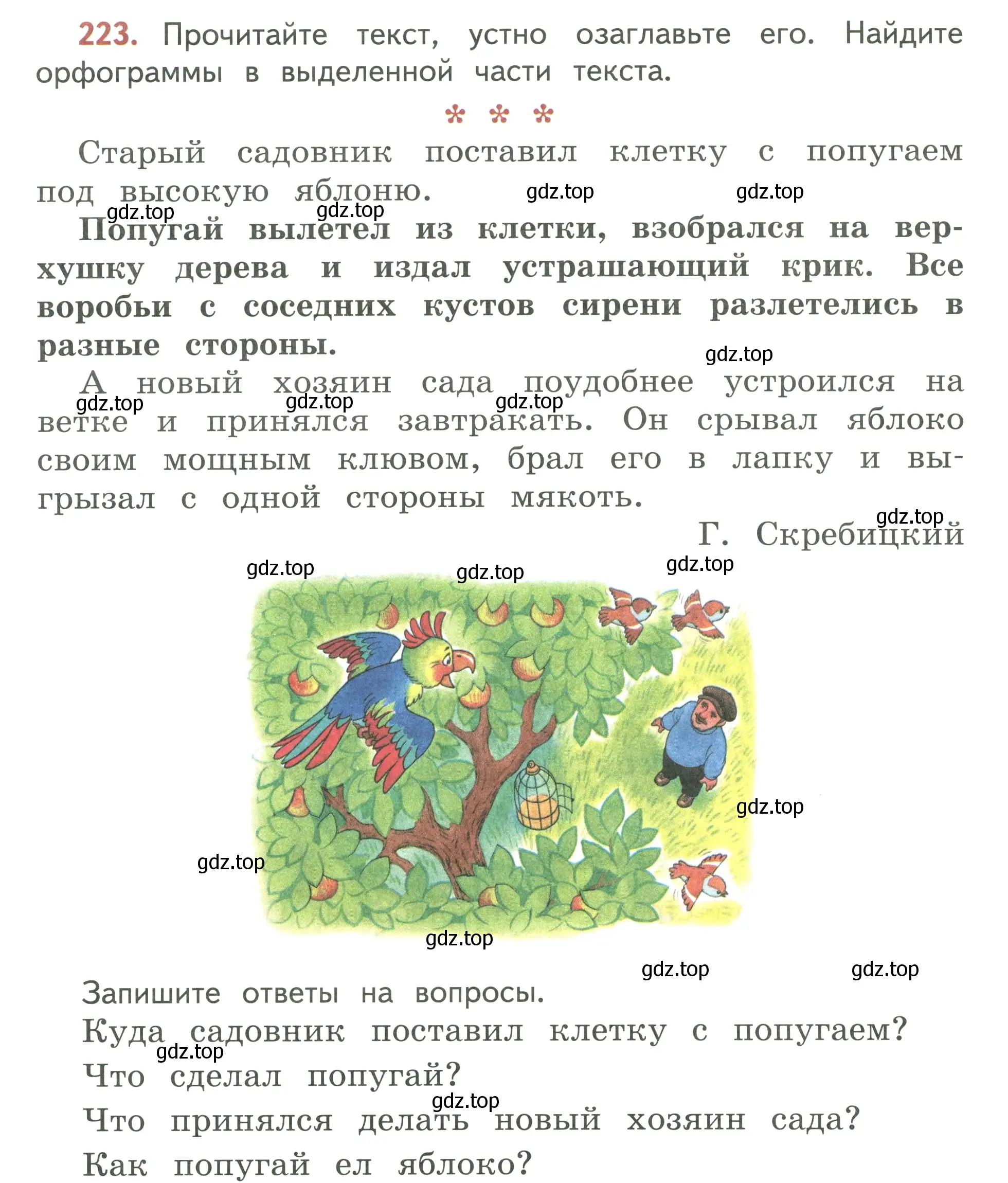 Условие номер 223 (страница 128) гдз по русскому языку 3 класс Климанова, Бабушкина, учебник 1 часть